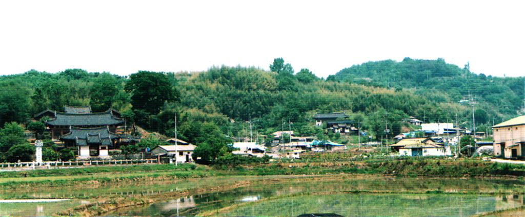 단목마을입구에서본 전경